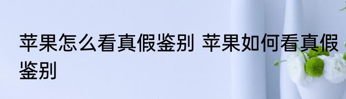 苹果怎么看真假鉴别 苹果如何看真假鉴别