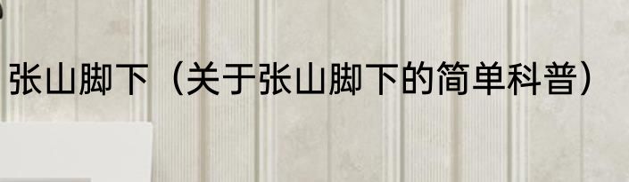 张山脚下（关于张山脚下的简单科普）