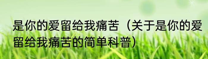是你的爱留给我痛苦（关于是你的爱留给我痛苦的简单科普）