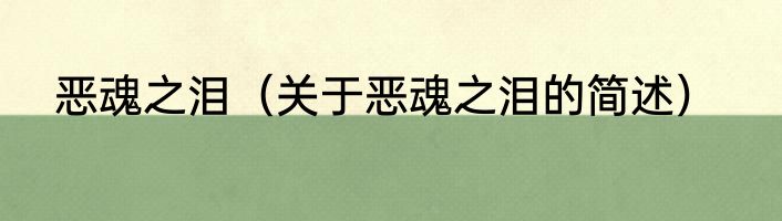 恶魂之泪（关于恶魂之泪的简述）