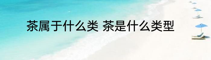 茶属于什么类 茶是什么类型