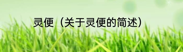 灵便（关于灵便的简述）