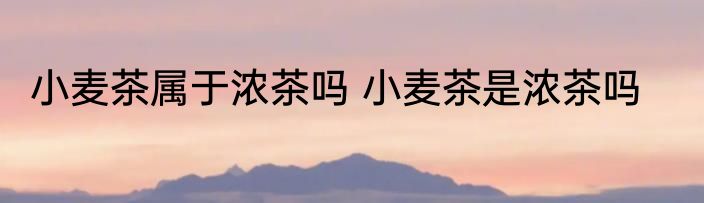 小麦茶属于浓茶吗 小麦茶是浓茶吗