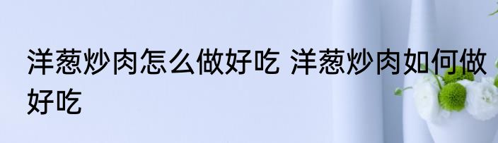 洋葱炒肉怎么做好吃 洋葱炒肉如何做好吃