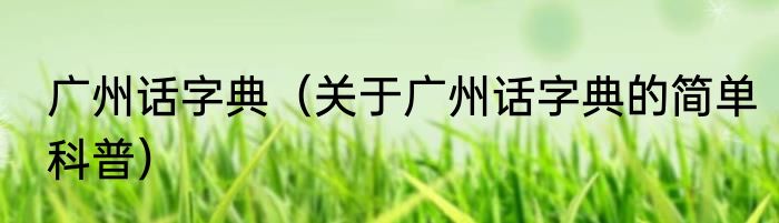 广州话字典（关于广州话字典的简单科普）