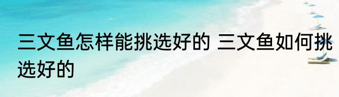 三文鱼怎样能挑选好的 三文鱼如何挑选好的