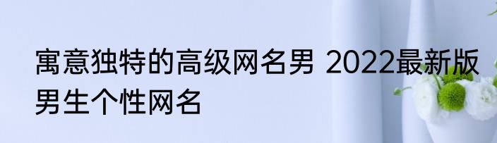 寓意独特的高级网名男 2022最新版男生个性网名