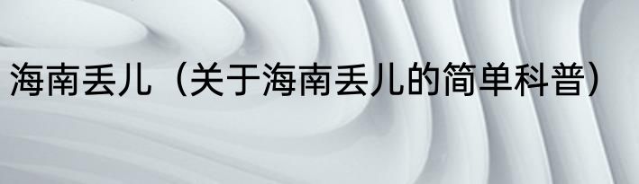 海南丢儿（关于海南丢儿的简单科普）
