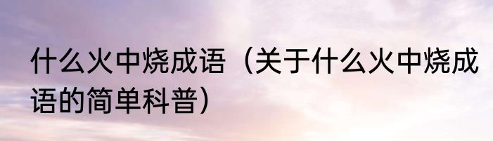 什么火中烧成语（关于什么火中烧成语的简单科普）