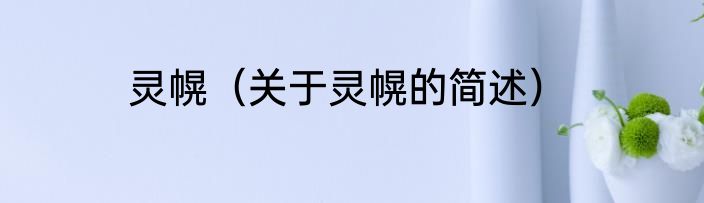 灵幌（关于灵幌的简述）
