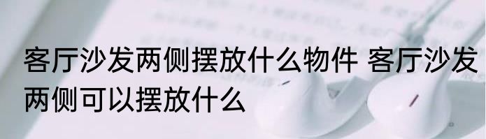 客厅沙发两侧摆放什么物件 客厅沙发两侧可以摆放什么