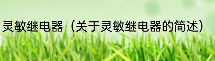 灵敏继电器（关于灵敏继电器的简述）