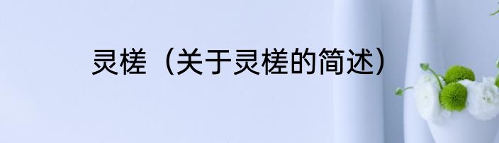 灵槎（关于灵槎的简述）
