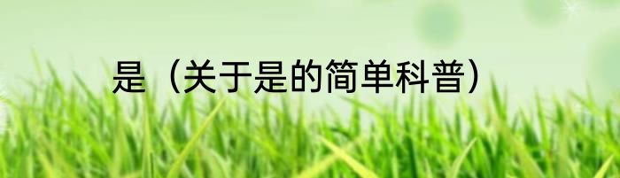 是（关于是的简单科普）