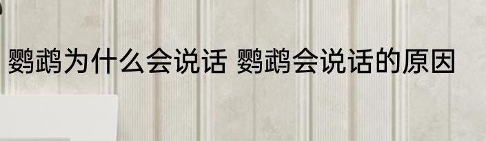 鹦鹉为什么会说话 鹦鹉会说话的原因