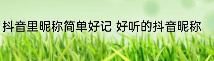 抖音里昵称简单好记 好听的抖音昵称