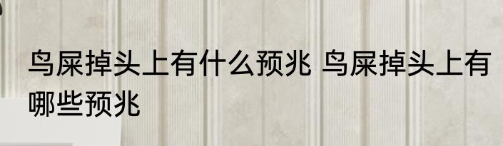 鸟屎掉头上有什么预兆 鸟屎掉头上有哪些预兆
