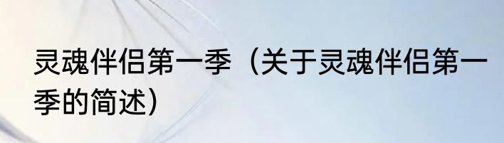 灵魂伴侣第一季（关于灵魂伴侣第一季的简述）