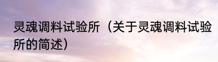 灵魂调料试验所（关于灵魂调料试验所的简述）