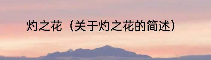 灼之花（关于灼之花的简述）