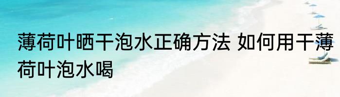 薄荷叶晒干泡水正确方法 如何用干薄荷叶泡水喝