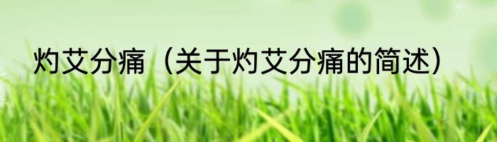 灼艾分痛（关于灼艾分痛的简述）