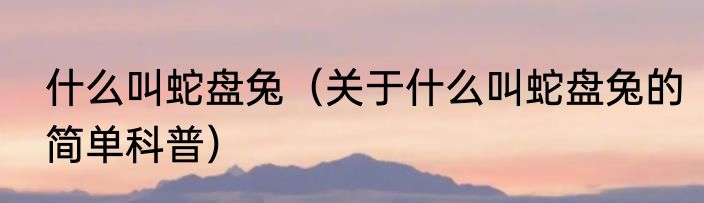 什么叫蛇盘兔（关于什么叫蛇盘兔的简单科普）