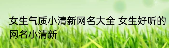 女生气质小清新网名大全 女生好听的网名小清新