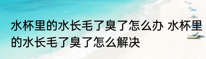水杯里的水长毛了臭了怎么办 水杯里的水长毛了臭了怎么解决