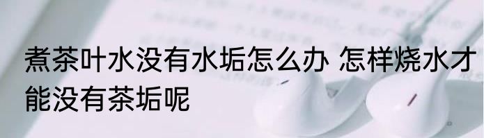 煮茶叶水没有水垢怎么办 怎样烧水才能没有茶垢呢
