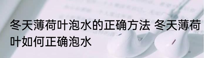 冬天薄荷叶泡水的正确方法 冬天薄荷叶如何正确泡水