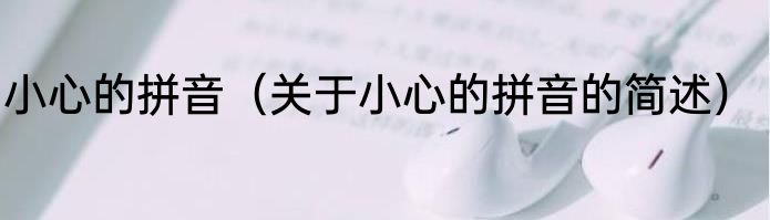 小心的拼音（关于小心的拼音的简述）