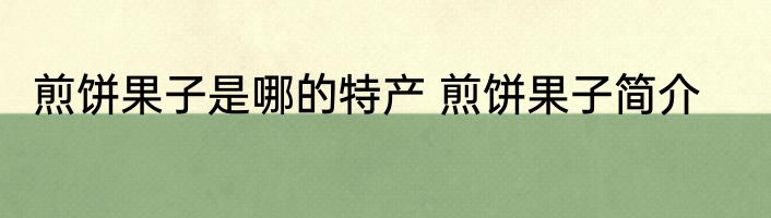 煎饼果子是哪的特产 煎饼果子简介