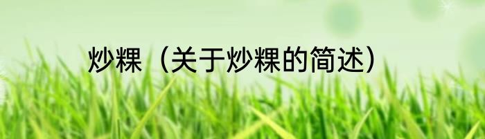 炒粿（关于炒粿的简述）
