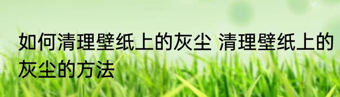 如何清理壁纸上的灰尘 清理壁纸上的灰尘的方法