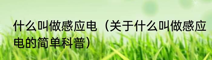 什么叫做感应电（关于什么叫做感应电的简单科普）
