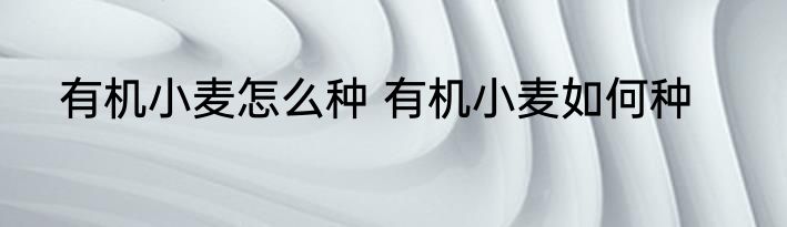 有机小麦怎么种 有机小麦如何种