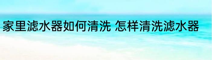 家里滤水器如何清洗 怎样清洗滤水器