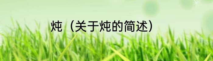 炖（关于炖的简述）