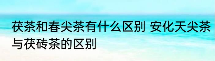 茯茶和春尖茶有什么区别 安化天尖茶与茯砖茶的区别