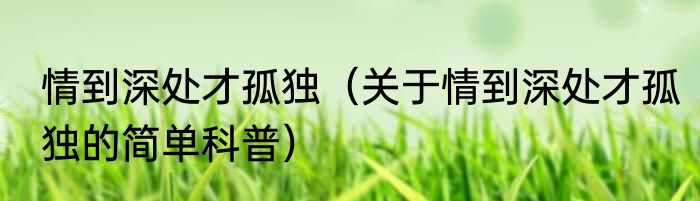 情到深处才孤独（关于情到深处才孤独的简单科普）