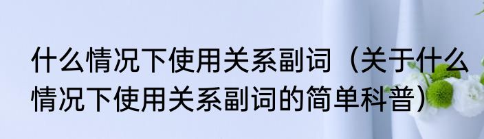 什么情况下使用关系副词（关于什么情况下使用关系副词的简单科普）