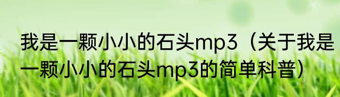 我是一颗小小的石头mp3（关于我是一颗小小的石头mp3的简单科普）