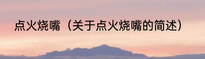点火烧嘴（关于点火烧嘴的简述）