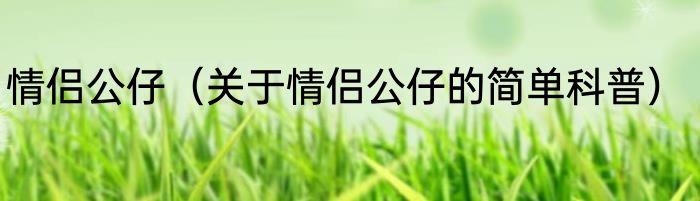 情侣公仔（关于情侣公仔的简单科普）