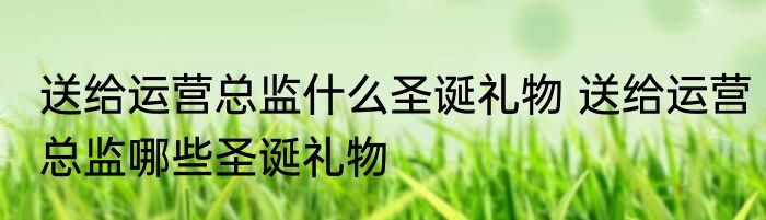 点缀（关于点缀的简述）