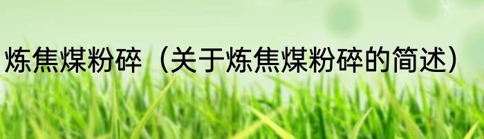 炼焦煤粉碎（关于炼焦煤粉碎的简述）