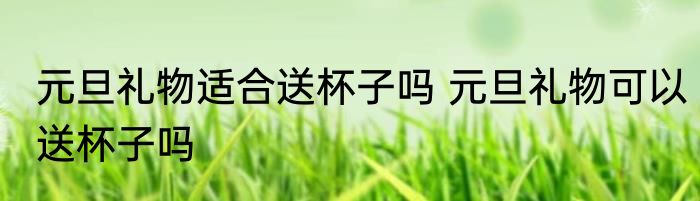 元旦礼物适合送杯子吗 元旦礼物可以送杯子吗