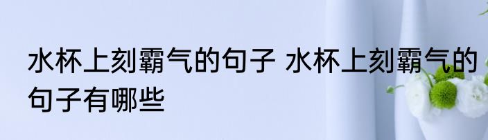 水杯上刻霸气的句子 水杯上刻霸气的句子有哪些