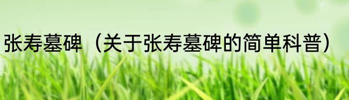 张寿墓碑（关于张寿墓碑的简单科普）